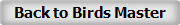 Back to Birds Master